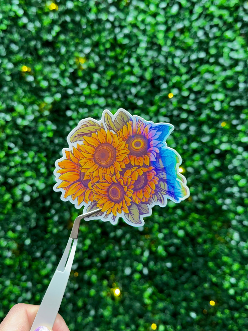 Sunflower Sticker Pack