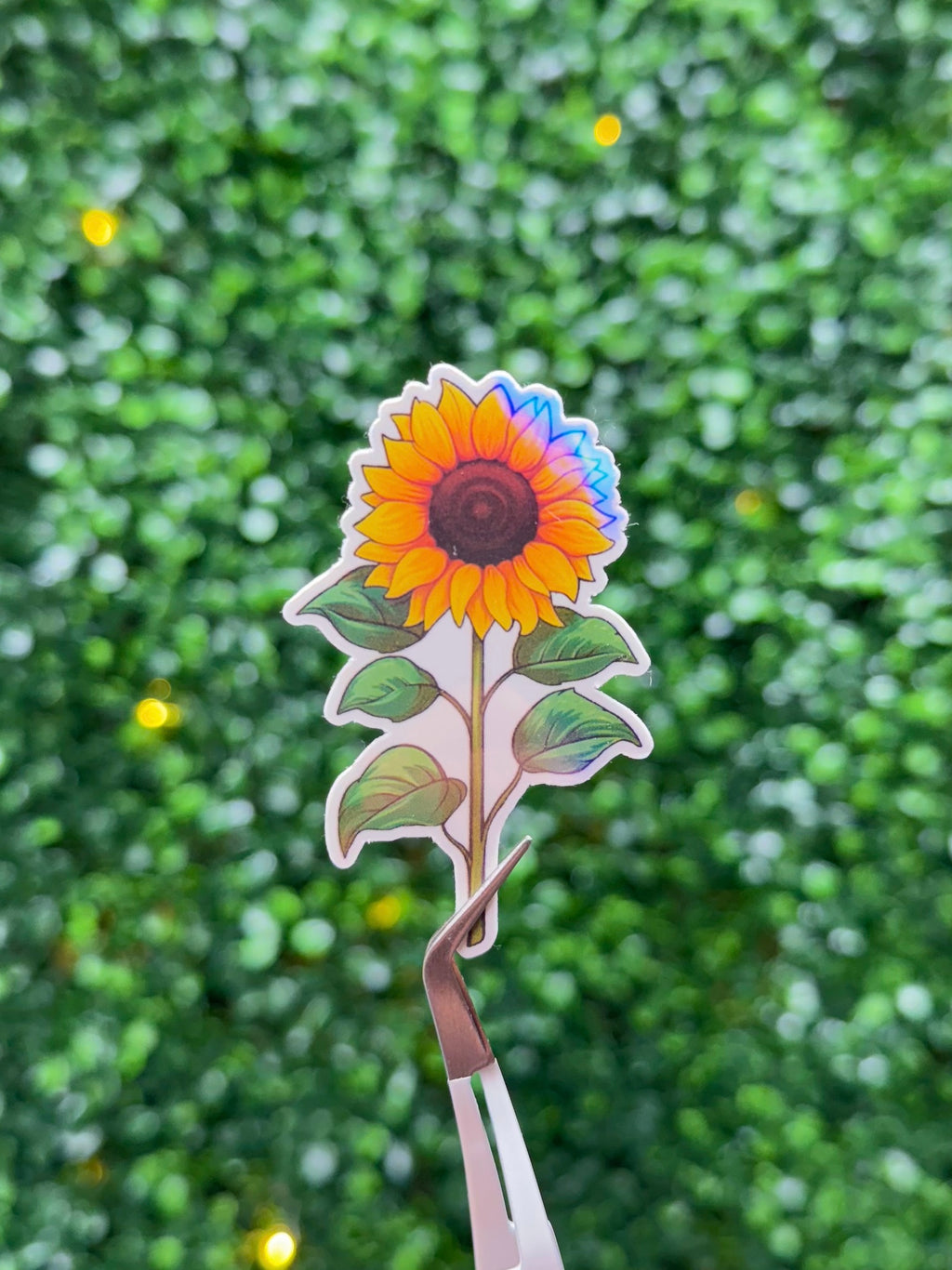 Sunflower Sticker Pack